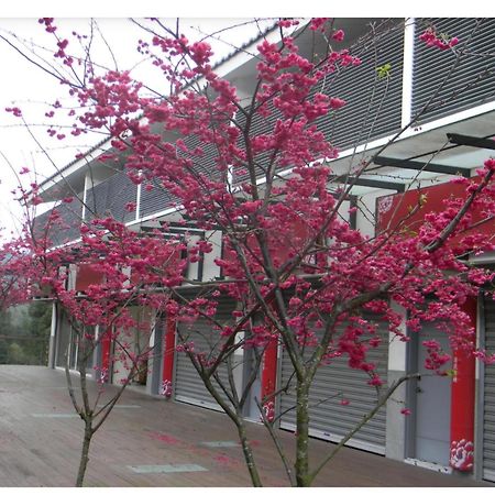 Miaoli Sanyi Shantongyazhu Homestay Eksteriør bilde