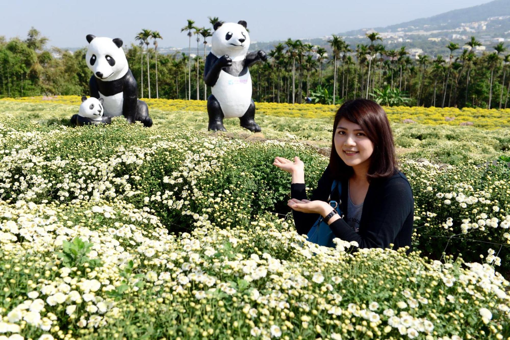 Miaoli Sanyi Shantongyazhu Homestay Eksteriør bilde